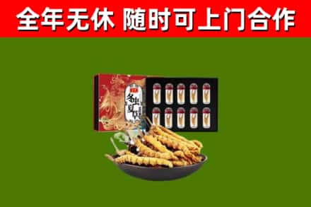 巴青回收冬虫夏草价格