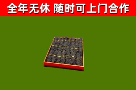 巴青回收海参
